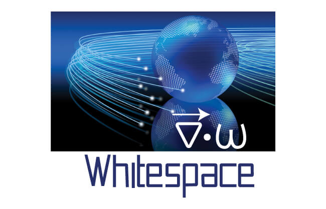 whitespace-logo